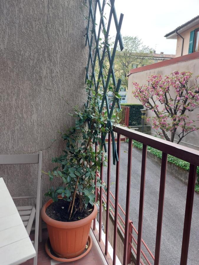 Pitentino Quattro * Bérgamo